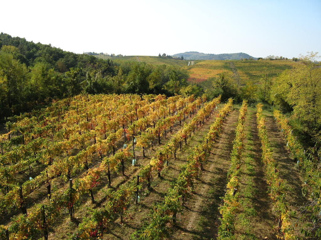Bosco Romagno Villa Cividale del Friuli Exterior foto