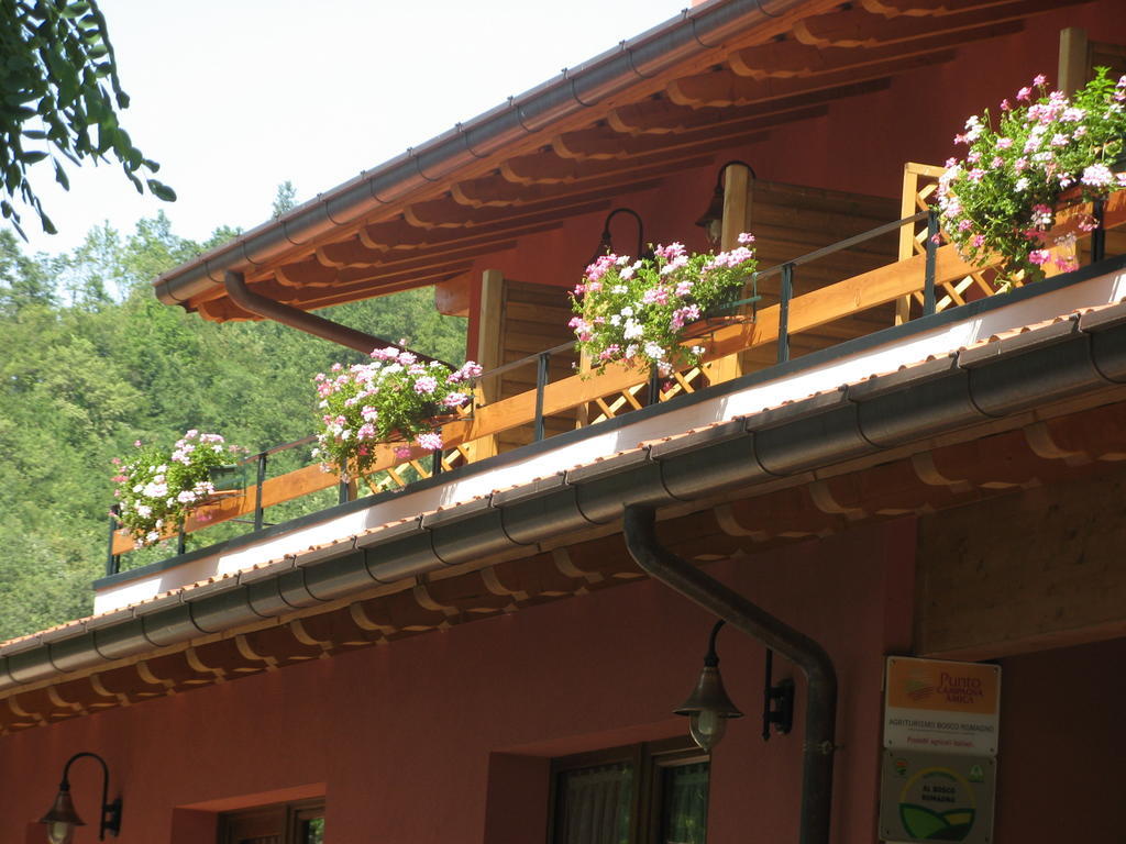 Bosco Romagno Villa Cividale del Friuli Cameră foto